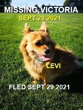 HAPPY ENDINGS - VICTORIA BC. - LEVI - SEPT 28, 2021