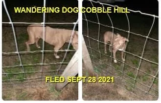 HAPPY ENDINGS - COBBLE HILL BC. - SEPT. 28, 2021