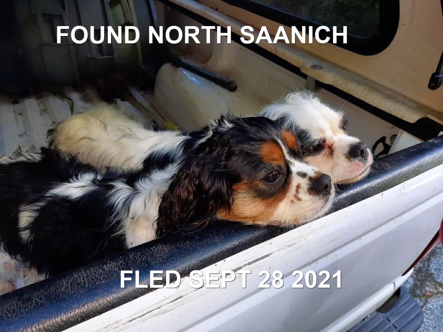 HAPPY ENDINGS - NORTH SAANICH BC. - SEPT. 28, 2021