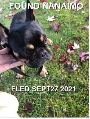 HAPPY ENDINGS - NANAIMO BC. -SEPT. 27, 2021