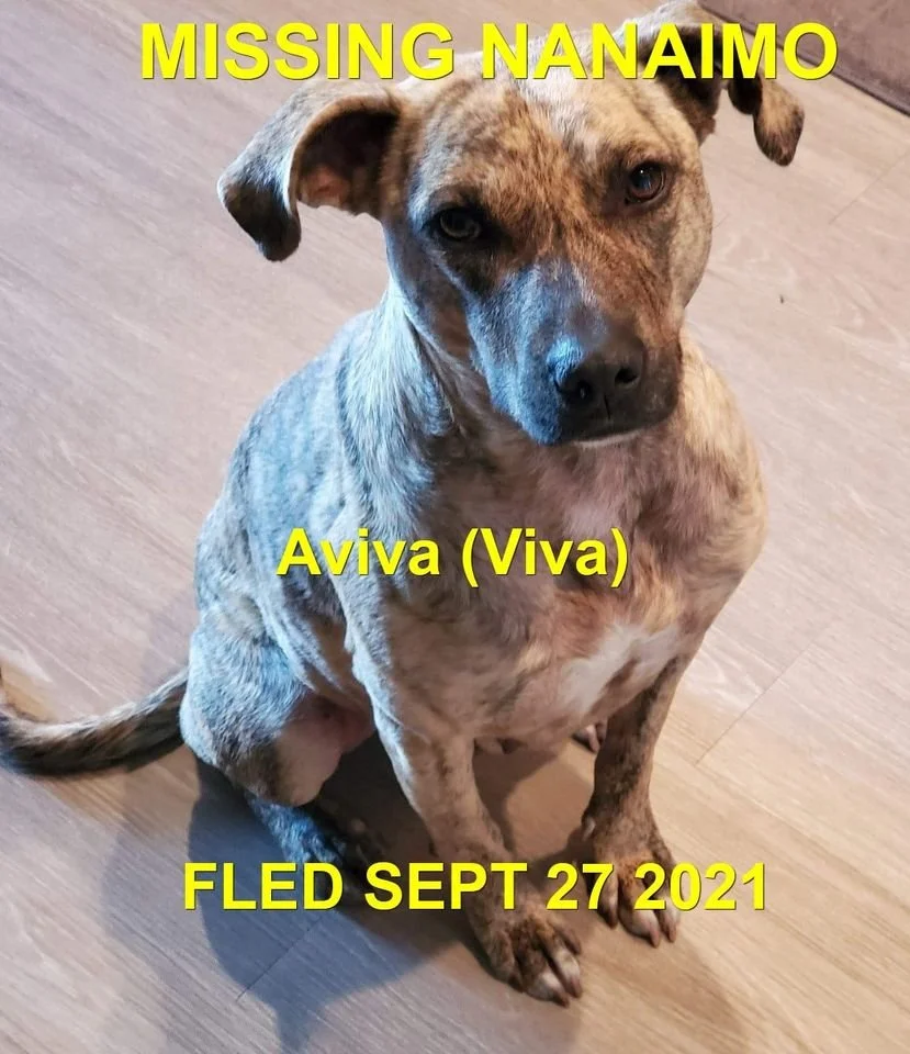 HAPPY ENDINGS - NANAIMO BC. - AVIVA - SEPT. 27, 2021