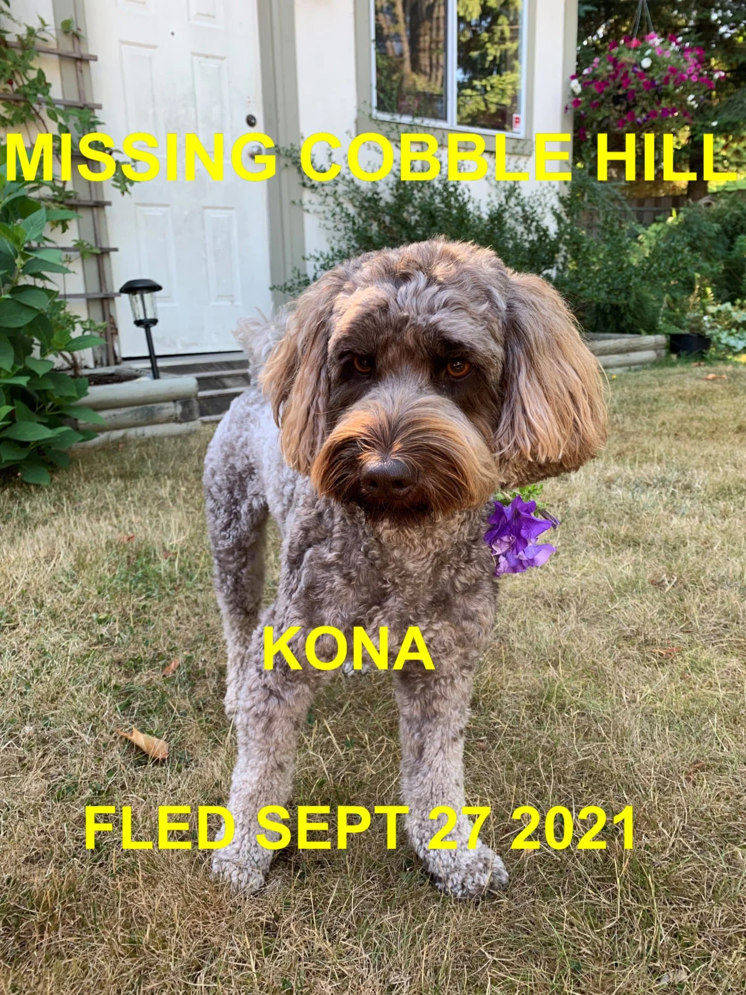 HAPPY ENDINGS - COBBLE HILL BC. - KONA - SEPT. 26, 2021
