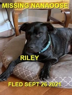 HAPPY ENDINGS / SAFELY TRAPPED - NANOOSE BAY BC. - RILEY - SEPT. 26, 2021