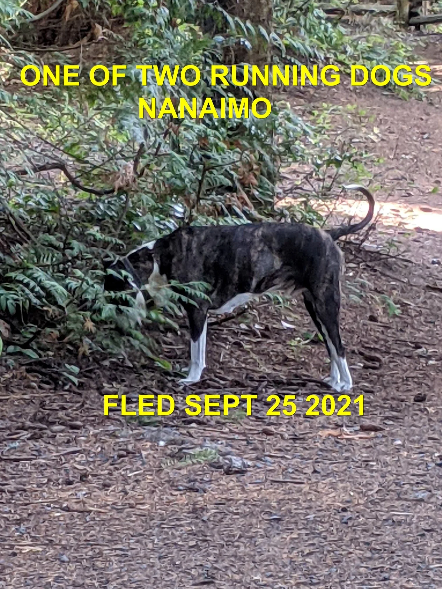 HAPPY ENDINGS - NANAIMO BC. - SEPT. 25, 2021