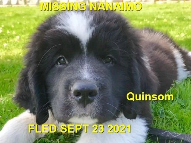 HAPPY ENDINGS - NANAIMO BC. - QUINSOM - SEPT 23, 2021