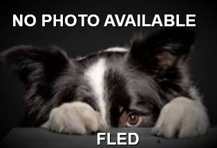 HAPPY ENDINGS - LANGFORD BC -JETT - NOV. 27, 2021