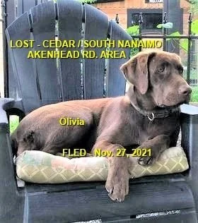 HAPPY ENDINGS - NANAIMO BC. - OLIVIA - NOV. 27, 2021