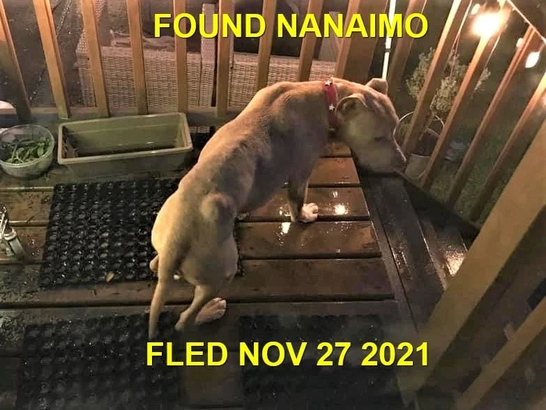 HAPPY ENDINGS - NANAIMO BC. - NOV. 27, 2021