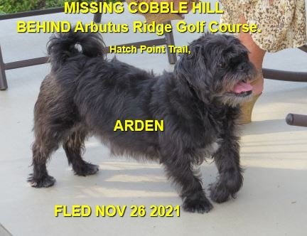 HAPPY ENDINGS - COBBLE HILL BC - SENIOR ARDEN - NOV. 26, 2021
