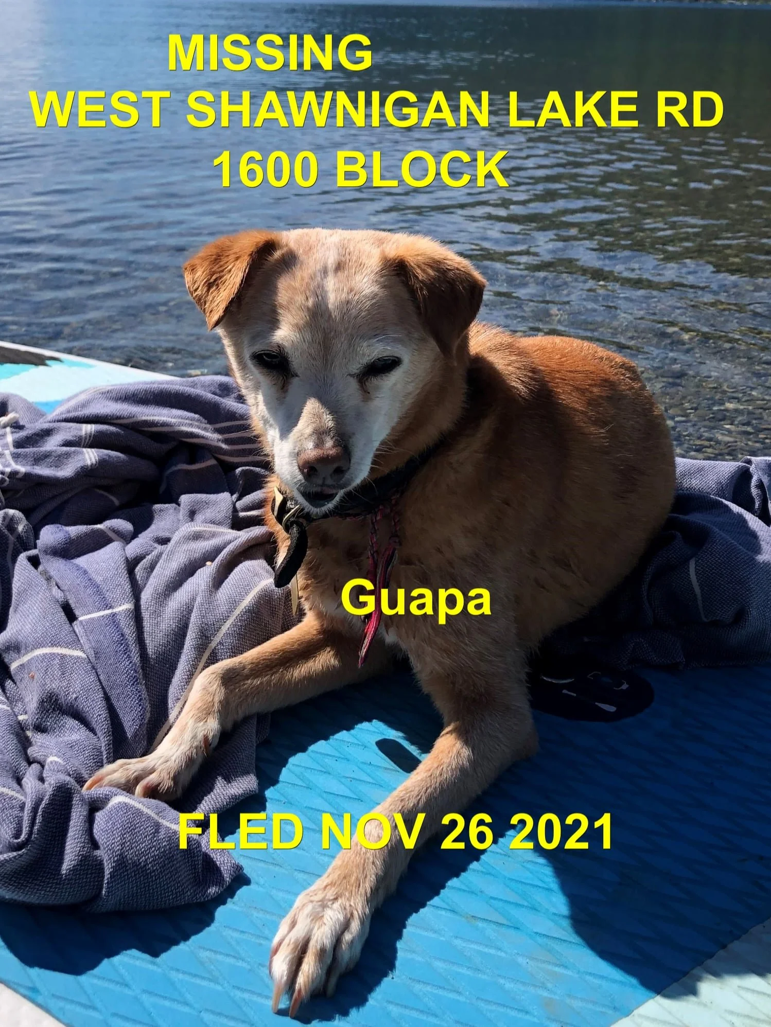 HAPPY ENDINGS - SHAWNIGAN LAKE BC - SENIOR GUAPA - NOV. 26, 2021