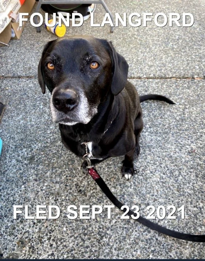 HAPPY ENDINGS - LANGFORD BC - RJ - SEPT. 23, 2021