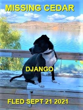HAPPY ENDINGS - NANAIMO / CEDAR BC - DJANGO - SEPT. 21, 2021