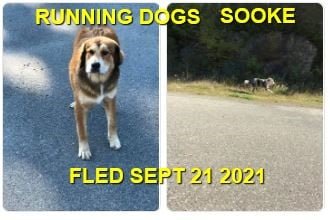 HAPPY ENDINGS - SOOKE BC. - SEPT. 21, 2021