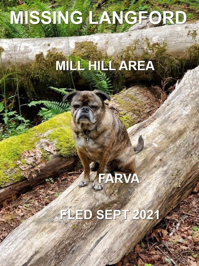 HAPPY ENDINGS - LANGFORD BC. - FARVA - SEPT 20, 2021