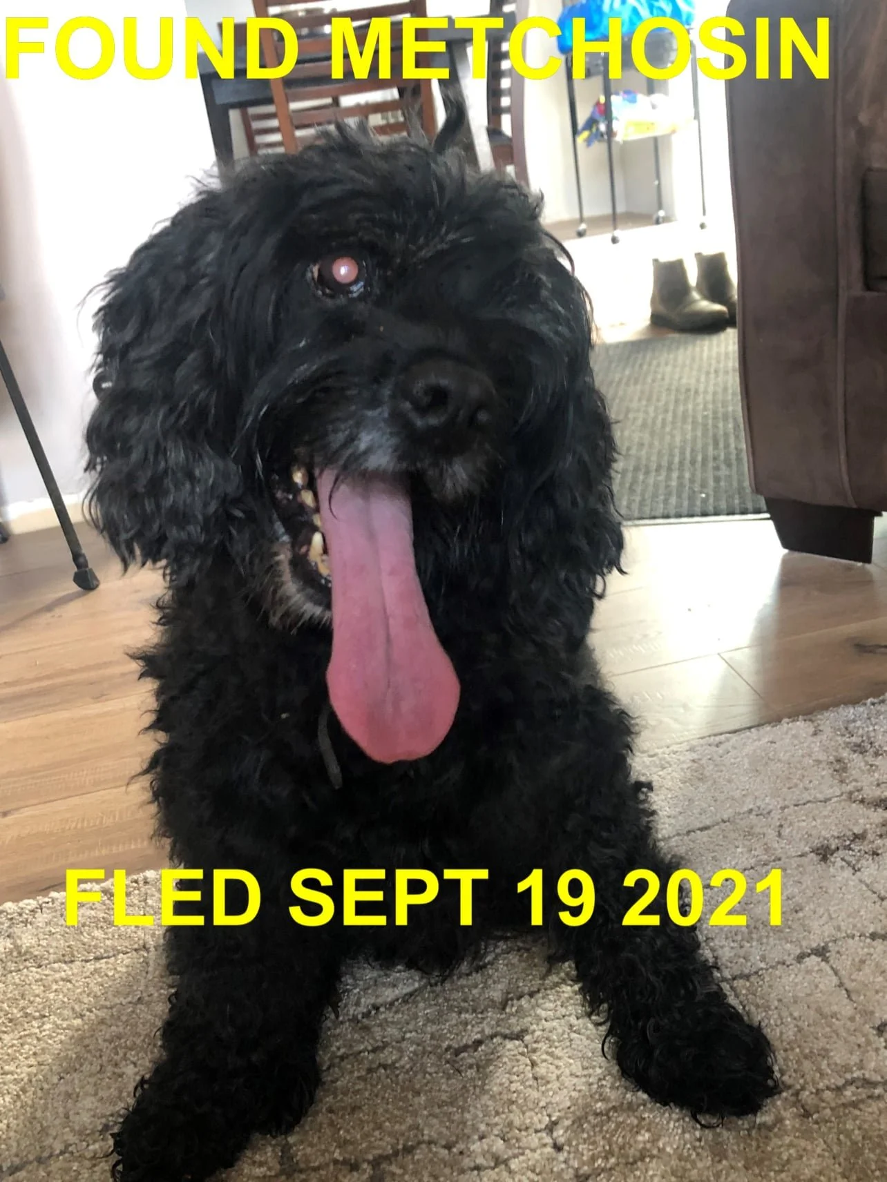 HAPPY ENDINGS - METCHOSIN BC. - SEPT. 19, 2021