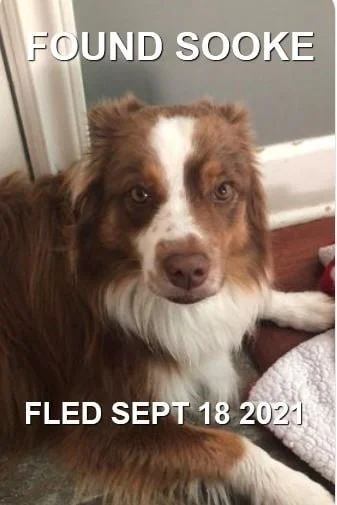 HAPPY ENDINGS - SOOKE BC - SEPT. 18, 2021