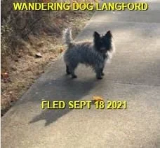 HAPPY ENDINGS - LANGFORD BC - BUSTER - SEPT. 18, 2021