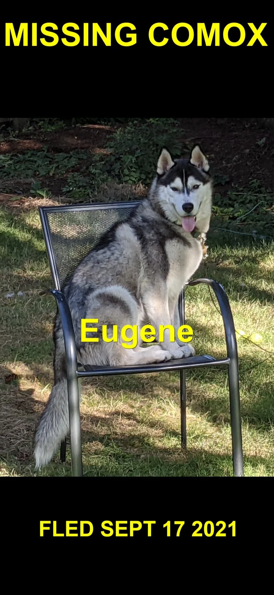 HAPPY ENDINGS - COMOX BC - EUGENE - SEPT.17, 2021