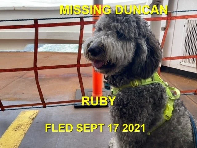HAPPY ENDINGS - DUNCAN BC. - RUBY - SEPT 17, 2021