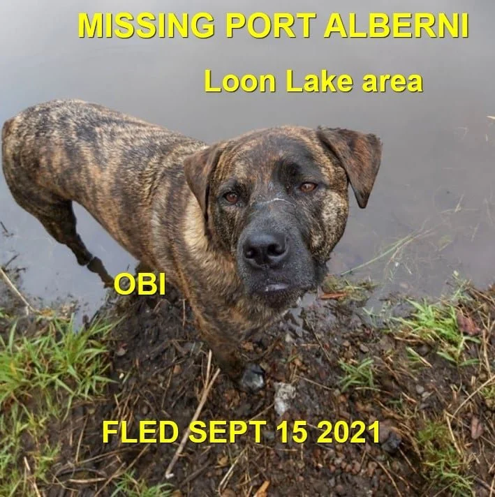 HAPPY ENDINGS - PORT ALBERNI BC. - OBI - SEPT. 15, 2021