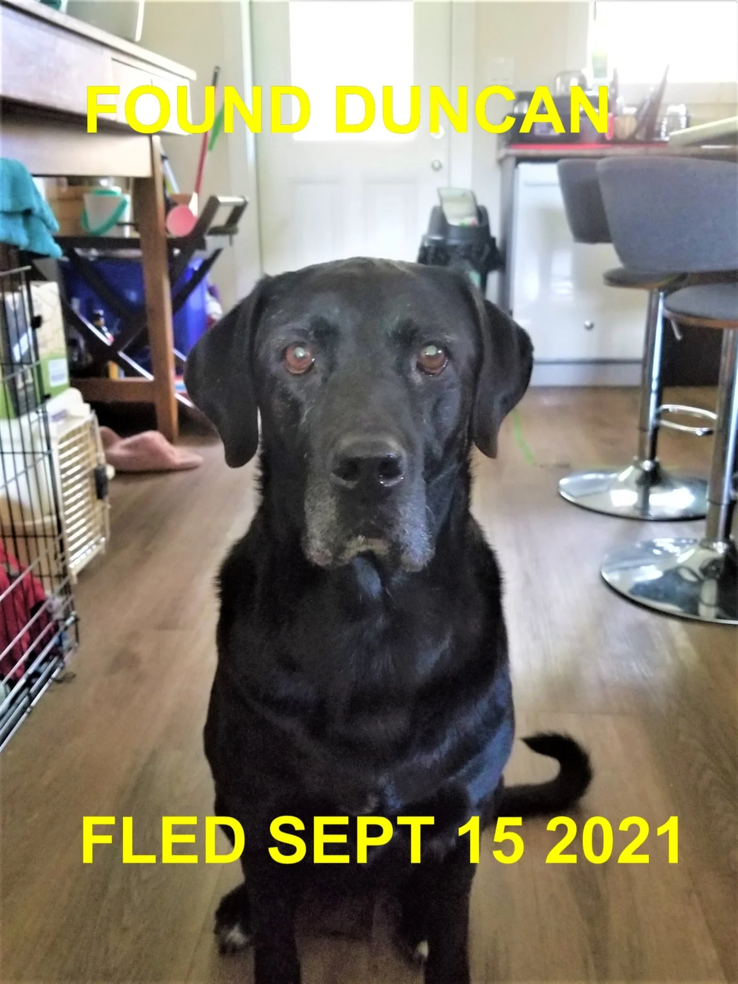 HAPPY ENDINGS - DUNCAN BC. - SEPT. 15, 2021