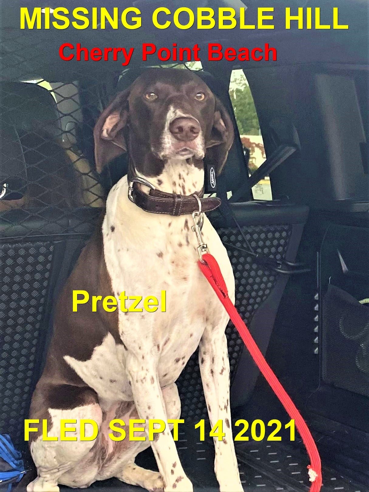 HAPPY ENDINGS - COBBLE HILL BC. -PRETZEL - SEPT. 14, 2021