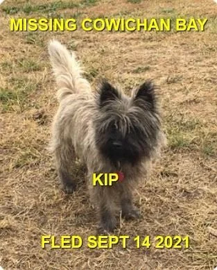 HAPPY ENDINGS - COWICHAN BAY BC - KIP - SEPT. 14, 2021