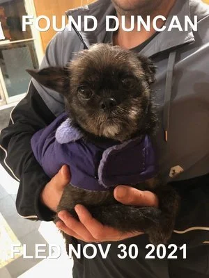 HAPPY ENDINGS - DUNCAN BC - NOV. 30, 2021