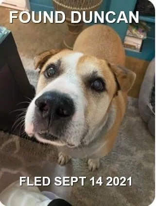 HAPPY ENDINGS - DUNCAN BC. - SEPT. 14, 2021