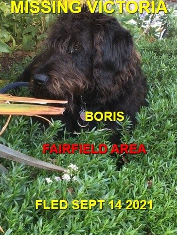 HAPPY ENDINGS - VICTORIA BC. -BORIS - SEPT 14, 2021