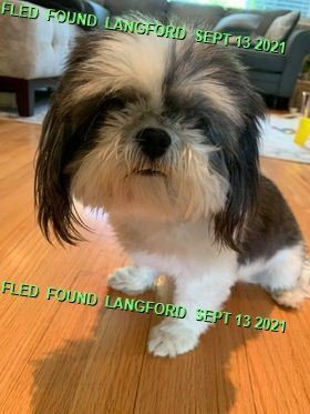 HAPPY ENDINGS - LANGFORD BC - LALA - SEPT. 13, 2021