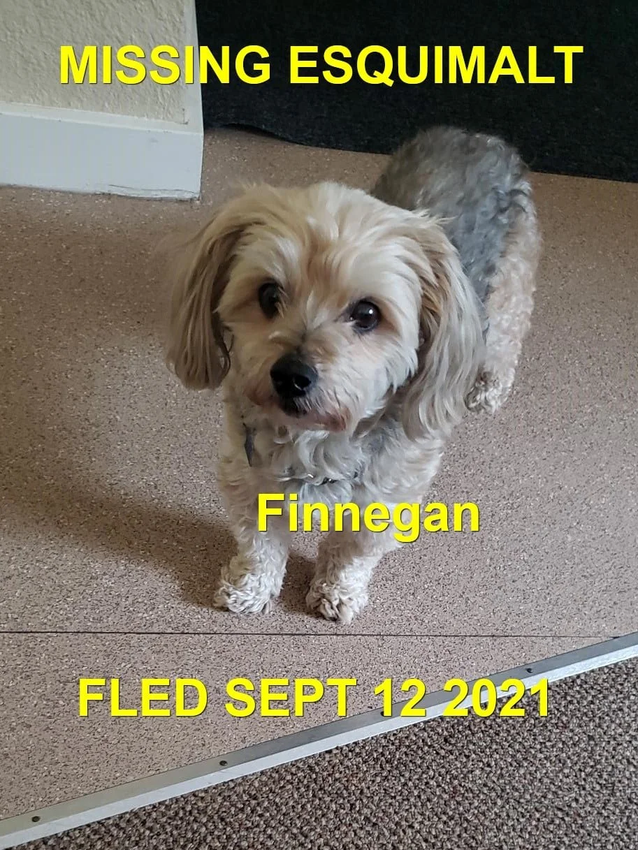 HAPPY ENDINGS - ESQUIMALT BC. - FINNEGAN - SEPT 12, 2021