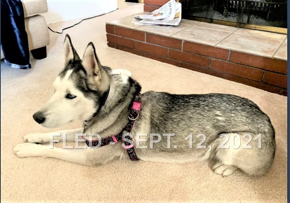 HAPPY ENDINGS - SAANICH BC. - SEPT. 12, 2021