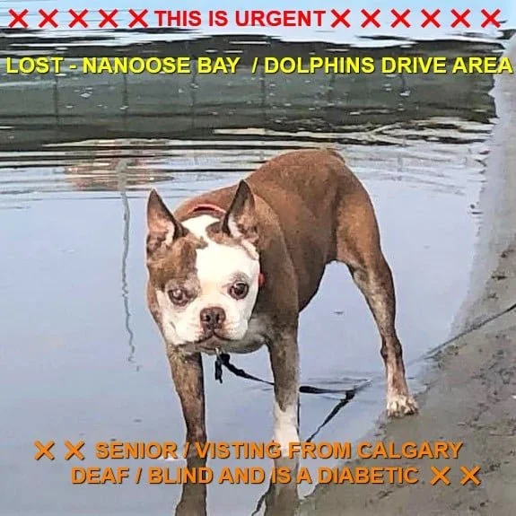 HAPPY ENDINGS - NANOOSE BAY BC. - SENIOR LEMMY - SEPT. 10, 2021