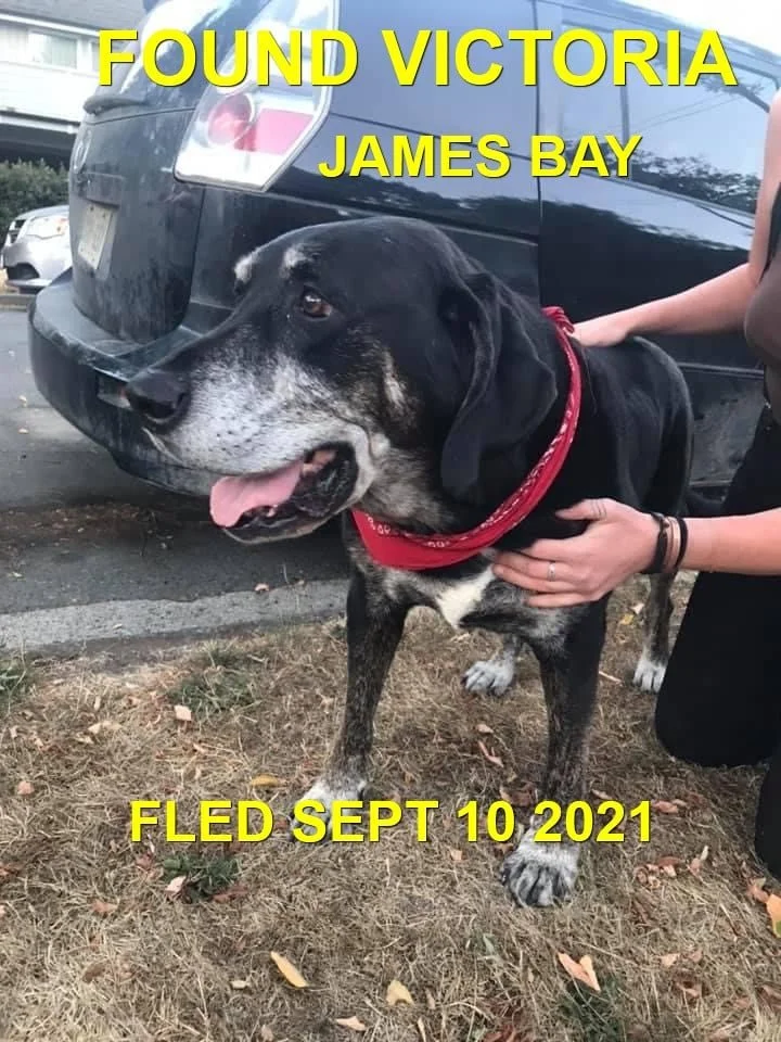 HAPPY ENDINGS - VICTORIA, BC - SENIOR TUSK - SEPT. 10, 2021