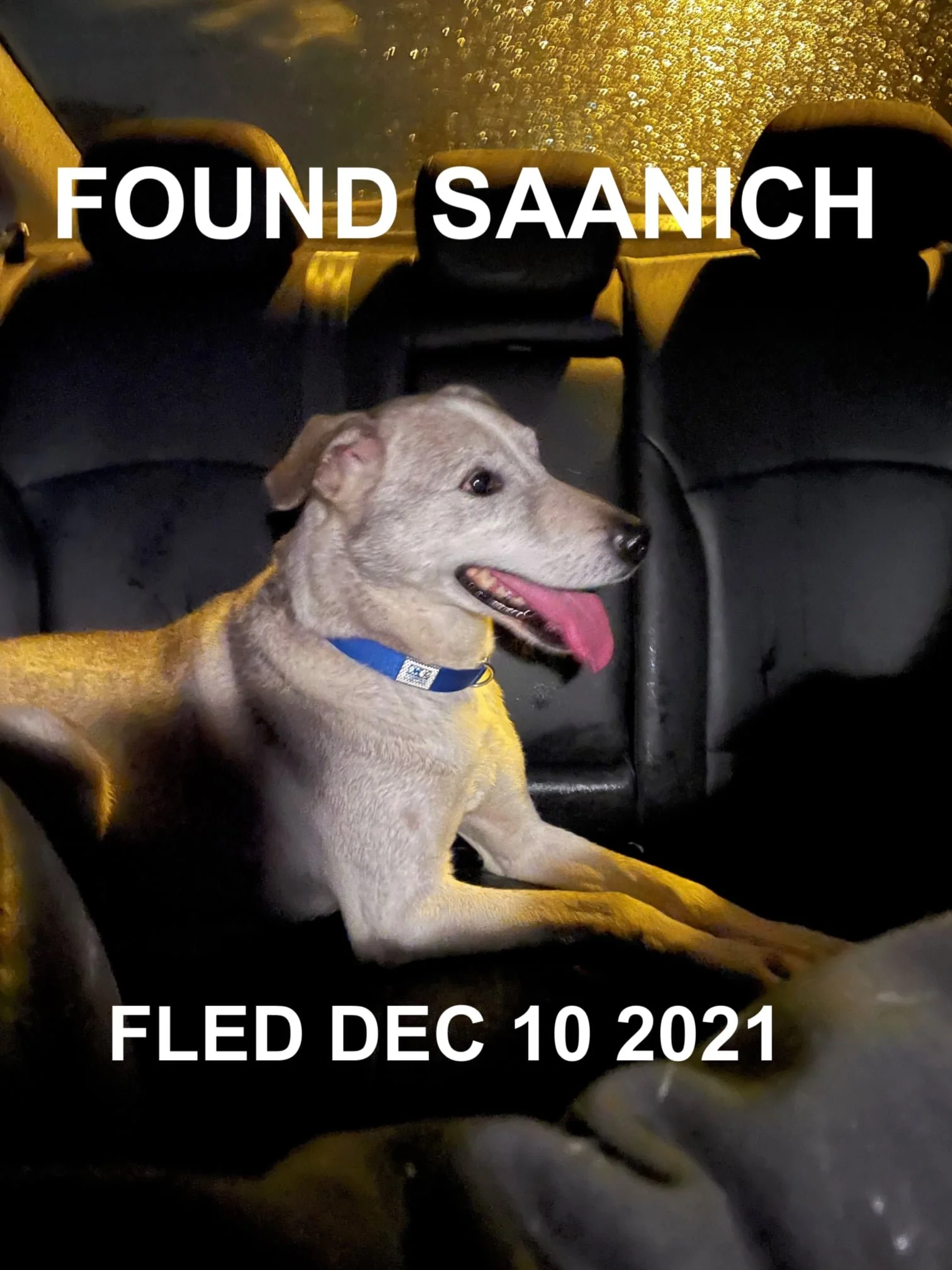 HAPPY ENDINGS - SAANICH BC - DEC. 10, 2021