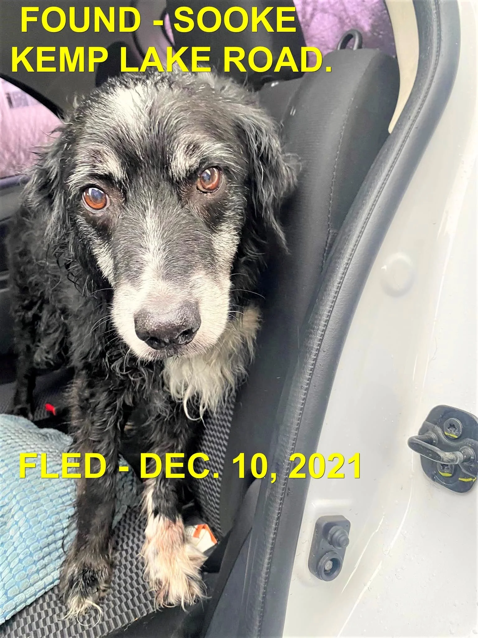 HAPPY ENDINGS - EAST SOOKE BC - DEC. 10, 2021