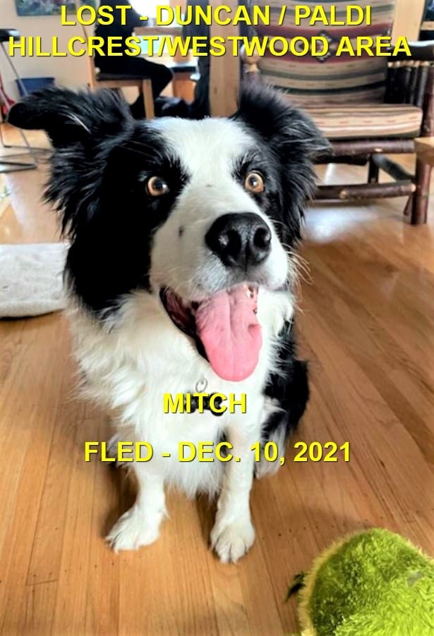 HAPPY ENDINGS - DUNCAN BC - MITCH - DEC. 10, 2021