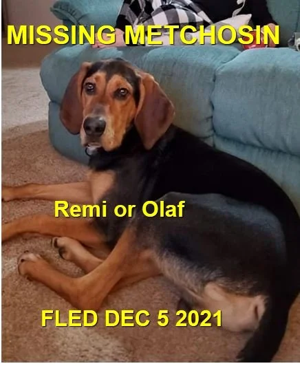 HAPPY ENDINGS - METCHOSIN BC. -REMI / OLAF - DEC. 5, 2021