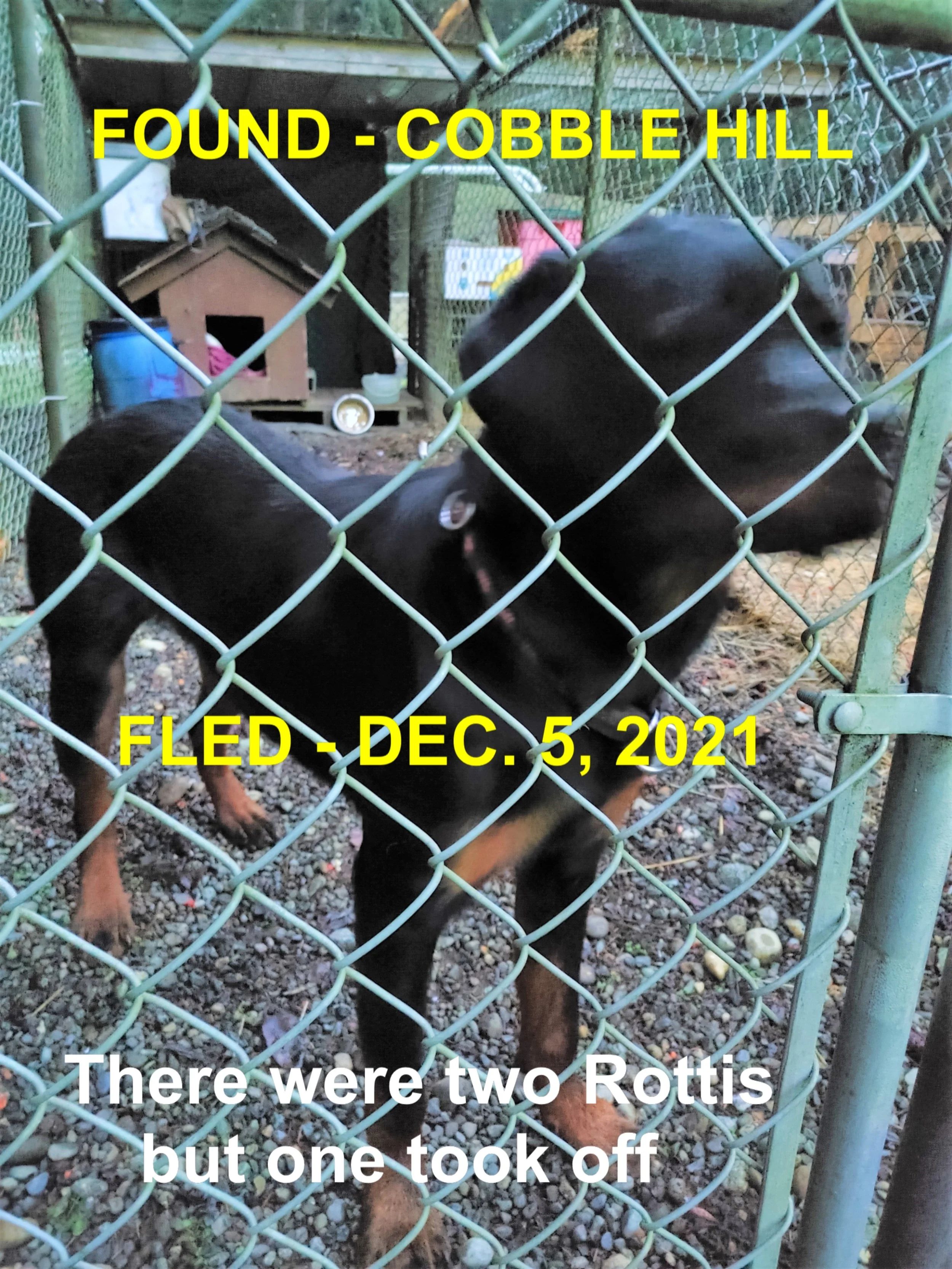 HAPPY ENDINGS - COBBLE HILL BC. - HUXLEY - DEC. 5, 2021