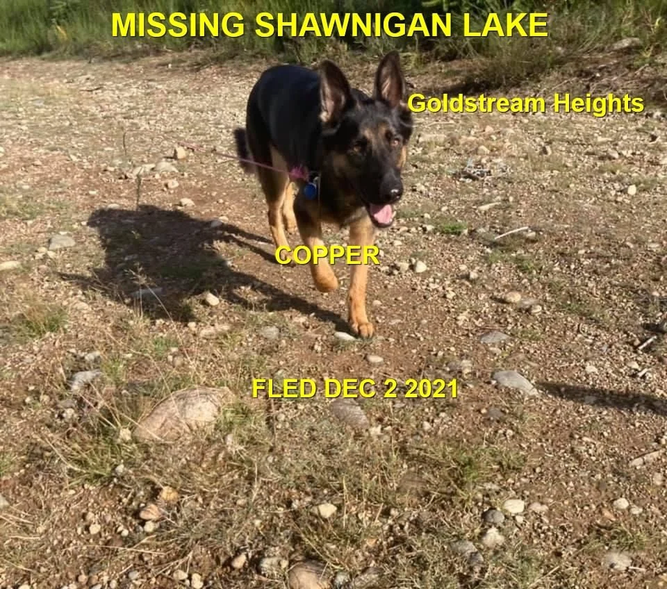 HAPPY ENDINGS - SHAWNIGAN LAKE BC. - COPPER -  DEC. 2, 2021