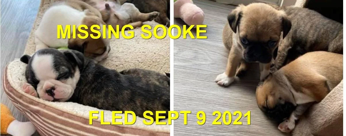 HAPPY ENDINGS - SOOKE BC. - HUXLEY, BOOTS &amp; JAX - SEPT. 9, 2021