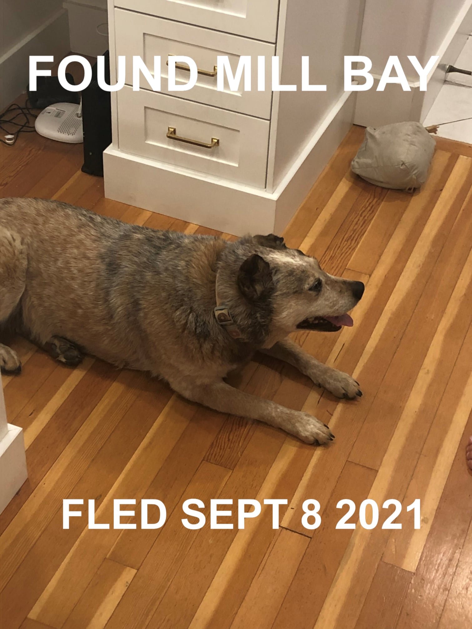 HAPPY ENDINGS - MILL BAY BC. - SEPT. 8, 2021