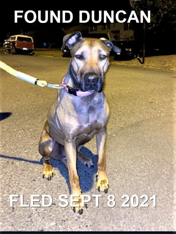 HAPPY ENDINGS - DUNCAN BC. - SEPT. 8, 2021