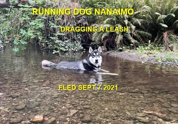 HAPPY ENDINGS - NANAIMO BC. - SEPT. 7, 2021