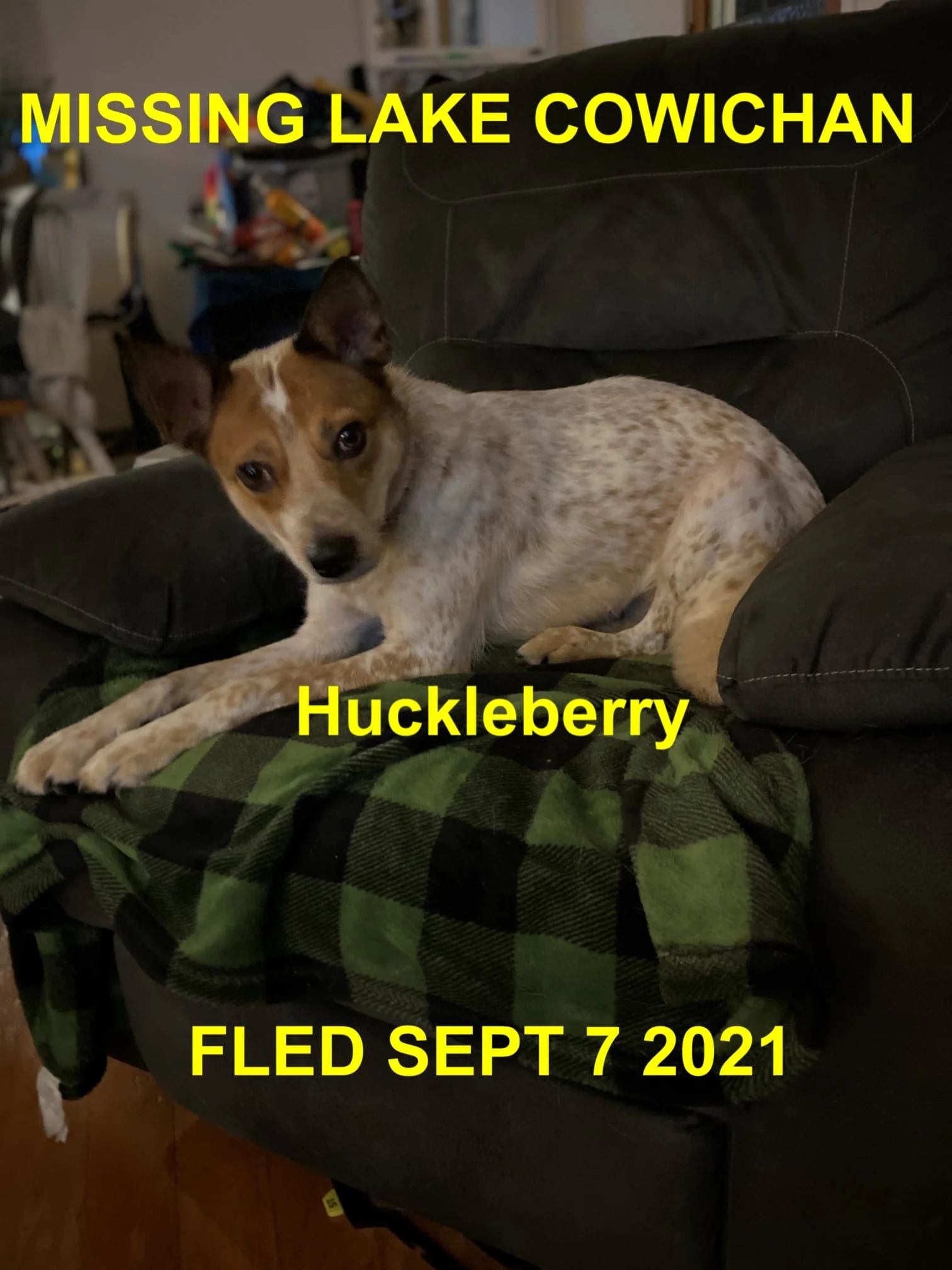 HAPPY ENDINGS - LAKE COWICHAN BC - HUCKLEBERRY - SEPT. 7, 2021