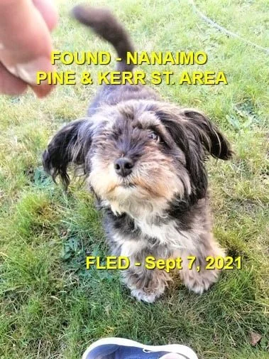 HAPPY ENDINGS - NANAIMO BC. - SEPT. 7, 2021