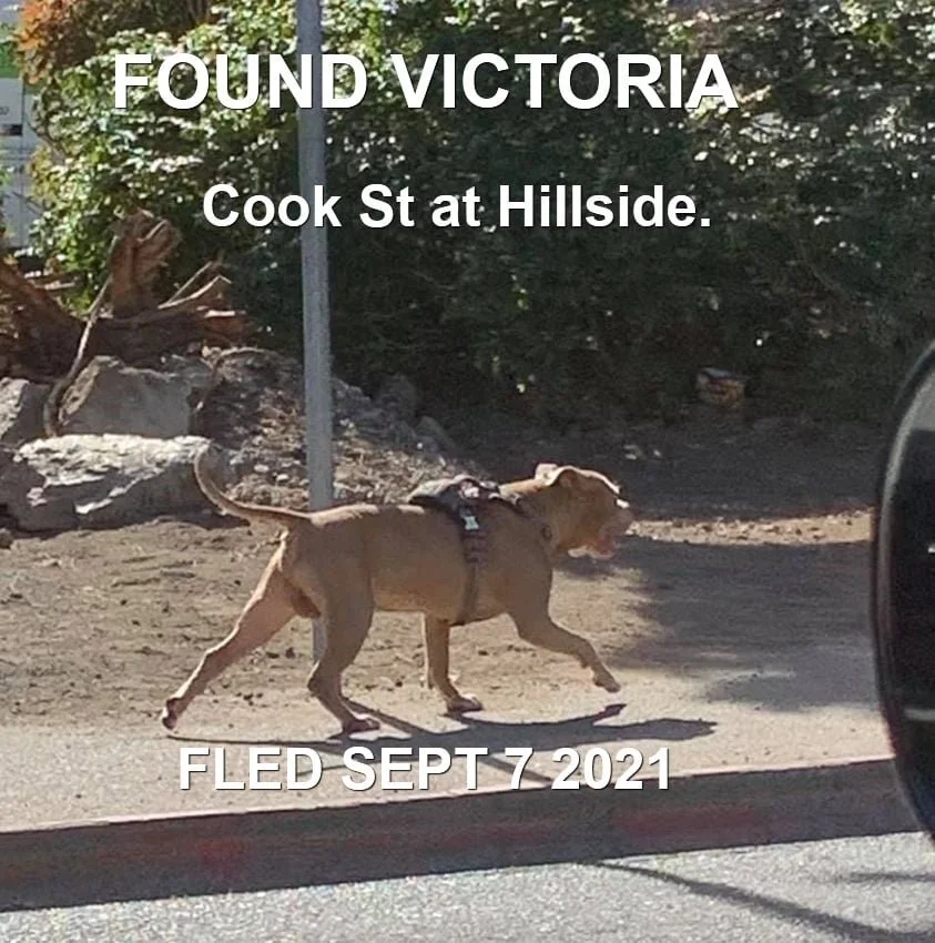 HAPPY ENDINGS - VICTORIA BC. - SEPT. 7, 2021