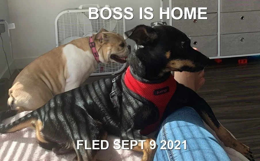 HAPPY ENDINGS - VICTORIA, BC. - BOSS - AUG. 29, 2021