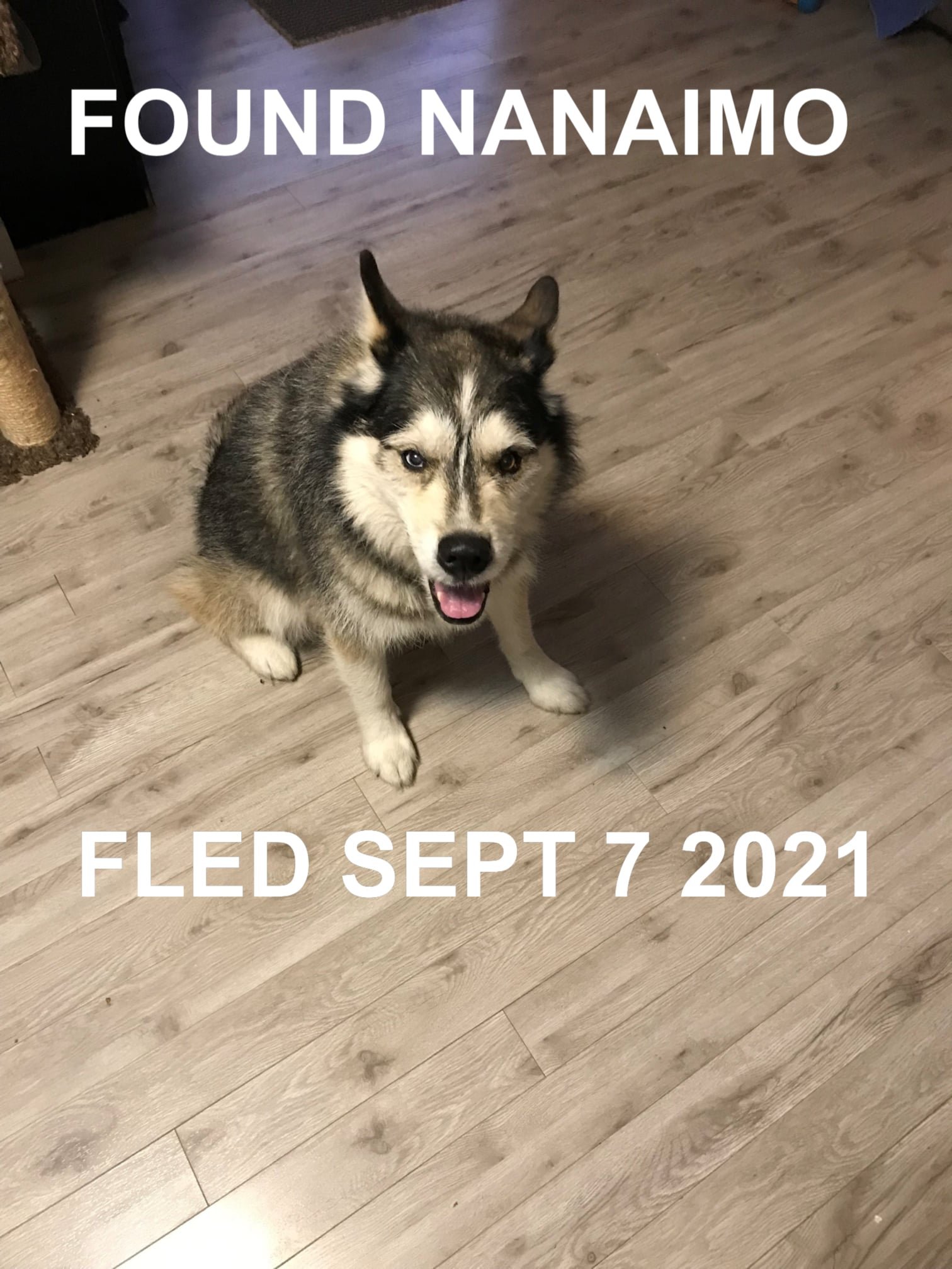 HAPPY ENDINGS - NANAIMO BC. - SEPT 7, 2021